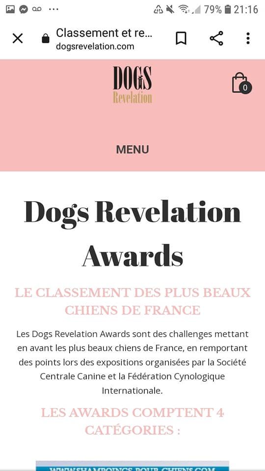 De L'Instant Présent - Dogs Revelation Awards